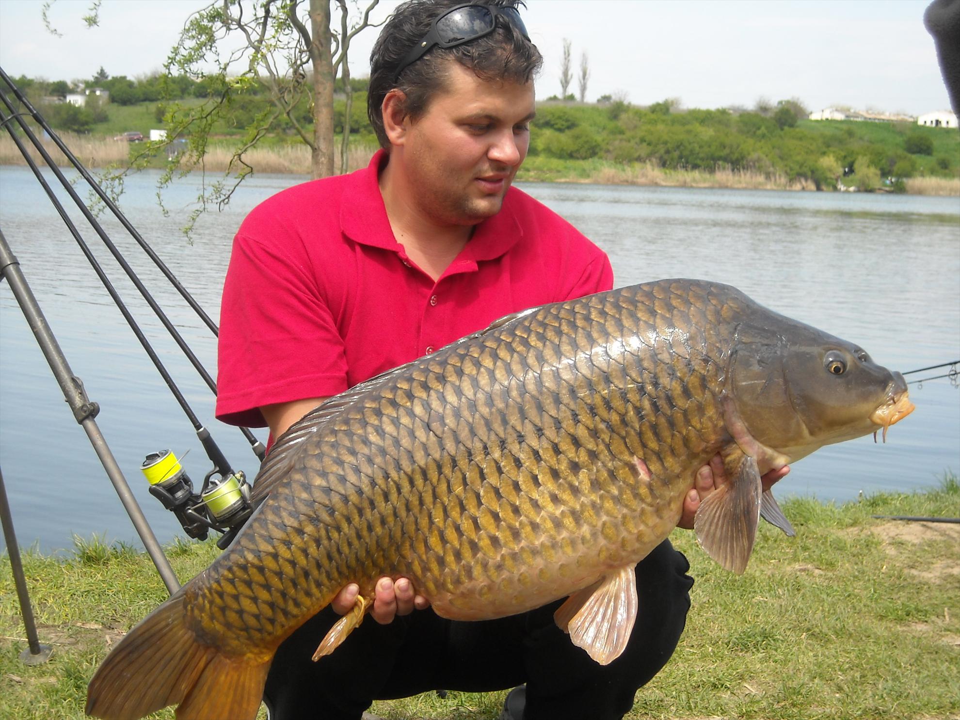 Crapmania - 2010 - crapmania-2010-257.jpg